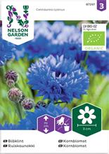 Bild Blåklint Organic frö