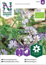 Bild Honungsfacelia Organic frö