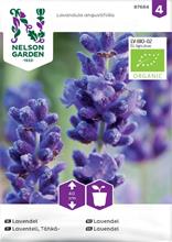 Bild Lavendel Organic frö