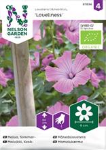 Bild Sommarmalva 'Loveliness' Organic frö