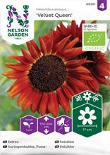 Bild Solros 'Velvet Queen' Organic frö
