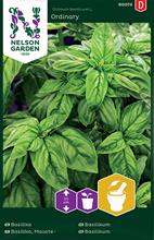 Bild Basilika, Grön frö