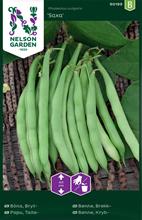 Bild Brytböna 'Saxa' frö