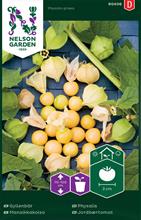 Bild Gyllenbär frö