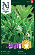 Bild Kryddsalvia frö