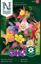 Bild Akleja 'McKana Giants' frö