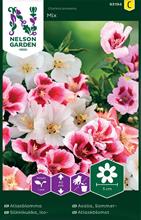 Bild Atlasblomma Mix frö