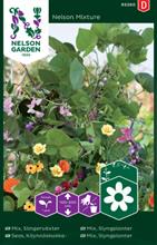 Bild Slingerväxter Mix