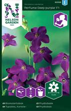 Bild Blomstertobak 'Perfume Deep Purple' F1 frö