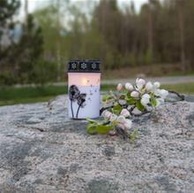 Bild LED Gravljus Dandelion