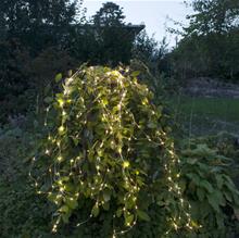 Bild Dew Drop ljusslinga, Outdoor LED 360
