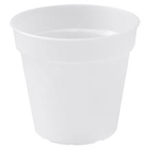 Bild Green basics 'Orchid' 13cm -Transparent