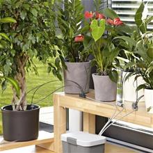 Bild Semesterbevattning Inkl. vattenbehållare