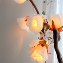 Bild Ljusslinga Rosor