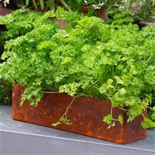 Bild Kruka 'Rectangular Rost' 1st Liten