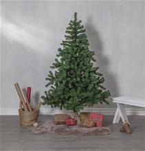 Bild Julgran New Quebec, 180cm grön