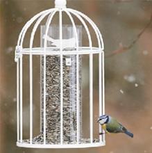 Bild Fröautomat Romantic, Vit