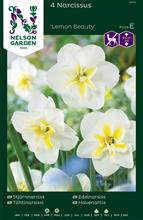 Bild Stjärnnarciss 'Lemon Beauty' 4st