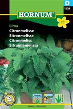 Bild Citronmeliss 'Lima', frö