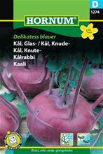 Bild Kålrabbi 'Delikatess blauer', frö