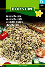 Bild Groddar, Rucola, frö