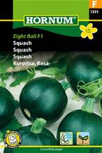 Bild Squash 'Eight Ball F1', frö
