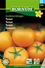 Bild Tomat 'Goldene Königin' frö