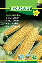 Bild Sockermajs 'Golden Bantam' frö
