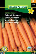 Bild Sommarmorot 'Namdal' F1 frö