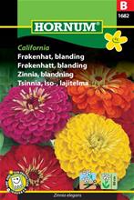 Bild Zinnia Mix 'California' frö