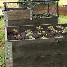 Bild Odlingslåda Svart 60x80 cm