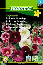 Bild Stockros Mix 'Simplex' frö