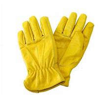 Bild Kent & Stowe Lyxiga Trädgårdshandskar Skinn, Dam M