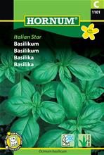 Bild Basilika 'Italian Star' frö