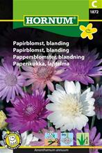 Bild Pappersblomster, mix frö
