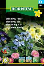 Bild Blomsterprakt Mix 'Vår' frö
