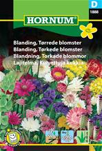 Bild Blomsterprakt, Mix för Torkade Blommor , frö