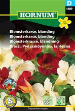 Bild Blomsterkrasse, Mix, frö