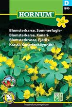Bild Blomsterkrasse, Fjärilsmix, frö
