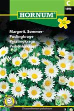 Bild Pysslingkrage, frö