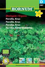 Bild Krusbladig Persilja 'Grüne Perle' Organic frö