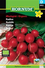 Bild Rädisa 'Cherry Bell' Organic frö