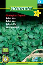 Bild Höstsallat (Vintersallad) Organic frö
