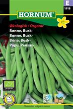 Bild Brytböna 'Maxi' Ekologiskt frö