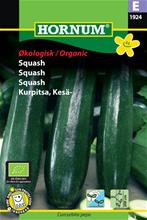 Bild Squash 'Black Beauty' Organic frö