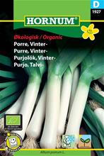 Bild Purjolök (Vinter) 'Herbstriesen 2' Ekologiskt frö