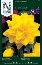 Bild Påsklilja 'Golden Ducat' 5st