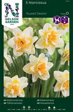 Bild Stjärnnarciss 'Sweet Desire' 5st