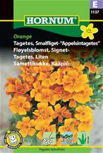 Bild Tagetes (Liten) 'Orange' frö