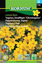 Bild Tagetes (Liten) 'Lemon Gem' frö